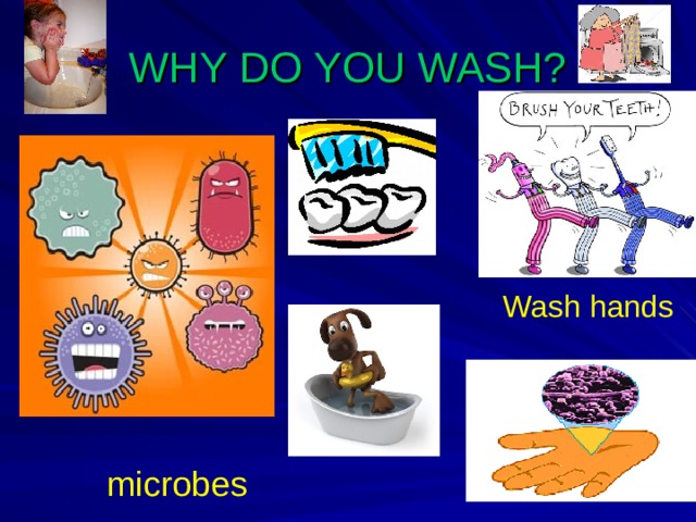 WHY DO YOU WASH?  Wash hands microbes 