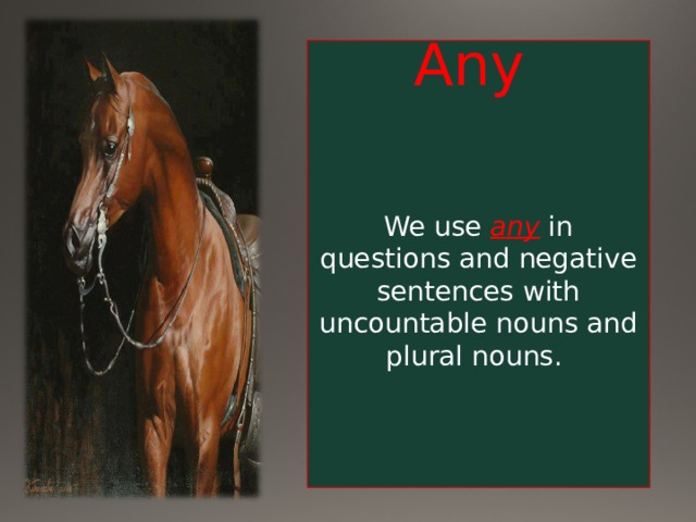 Any  We use any in questions and negative sentences with uncountable nouns and plural nouns. 
