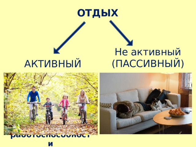 ОТДЫХ Не активный (ПАССИВНЫЙ) АКТИВНЫЙ отдых без каких-либо физических и умственных усилий, движений активная деятельность, ведущая к восстановлению сил, работоспособности 
