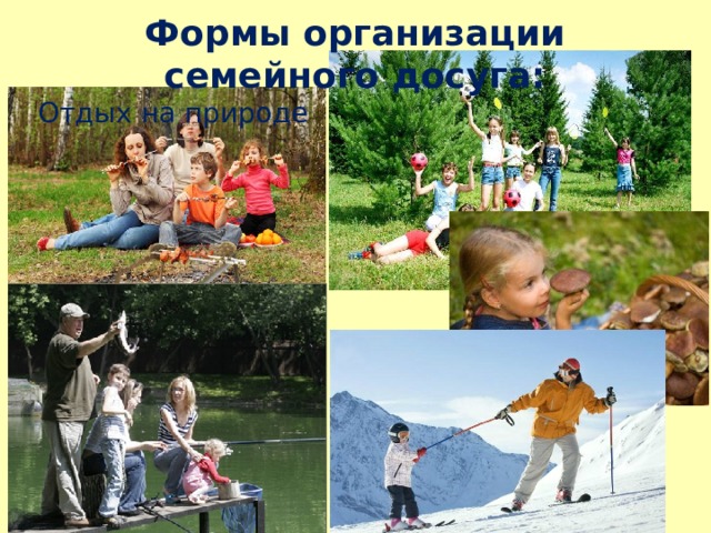 Формы организации семейного досуга: Отдых на природе 