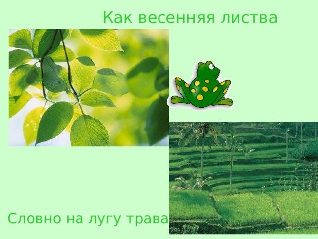 Как весенняя листва Словно на лугу  трава 
