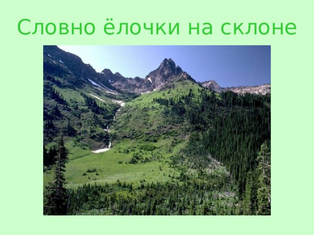 Словно ё лочки на склоне 