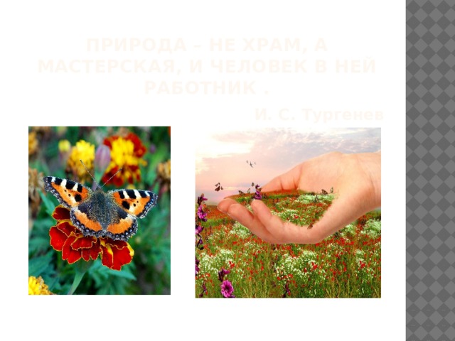 Природа – не храм, а мастерская, и человек в ней работник .   И. С. Тургенев 