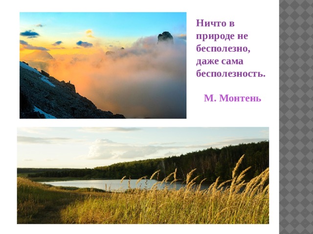 Ничто в природе не бесполезно, даже сама бесполезность.   М. Монтень 