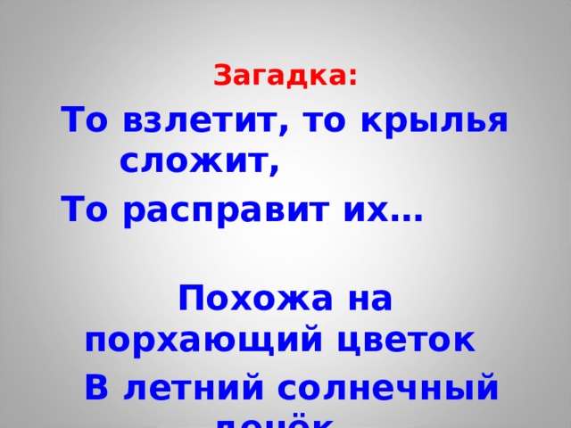 Загадка: То взлетит, то крылья сложит, То расправит их… Похожа на порхающий цветок  В летний солнечный денёк. 