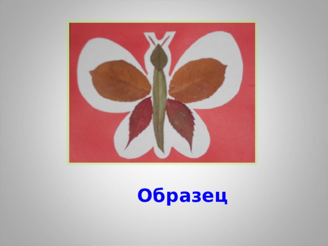  Образец 