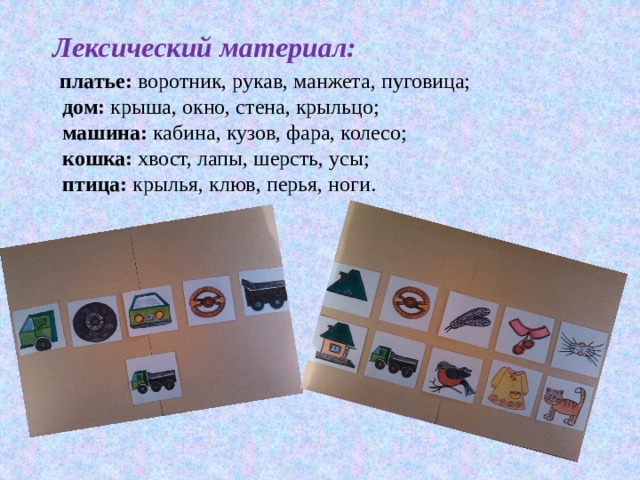  Лексический материал:  платье: воротник, рукав, манжета, пуговица;  дом: крыша, окно, стена, крыльцо;  машина: кабина, кузов, фара, колесо;  кошка: хвост, лапы, шерсть, усы;  птица: крылья, клюв, перья, ноги. 