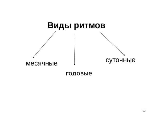  Виды ритмов месячные суточные Г  годовые огггчные  