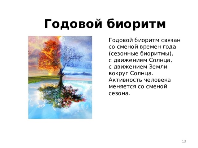  Годовой биоритм Годовой биоритм связан со сменой времен года (сезонные биоритмы), с движением Солнца, с движением Земли вокруг Солнца. Активность человека меняется со сменой сезона.  