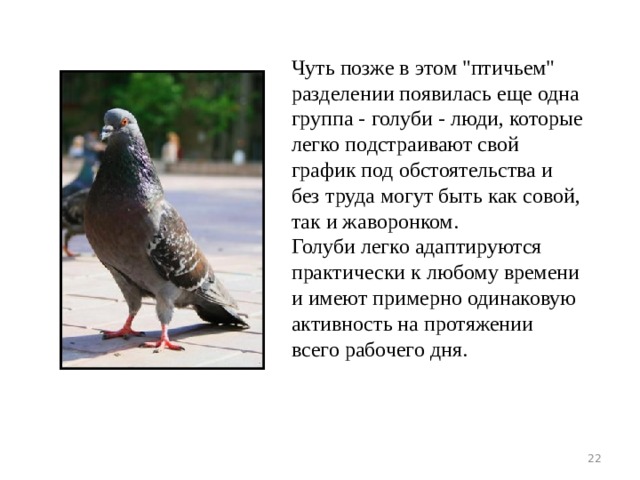 Чуть позже в этом 