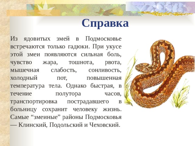 Справка Из ядовитых змей в Подмосковье встречаются только гадюки. При укусе этой змеи появляются сильная боль, чувство жара, тошнота, рвота, мышечная слабость, сонливость, холодный пот, повышенная температура тела. Однако быстрая, в течение полутора часов, транспортировка пострадавшего в больницу сохранит человеку жизнь. Самые “змеиные” районы Подмосковья — Клинский, Подольский и Чеховский. 