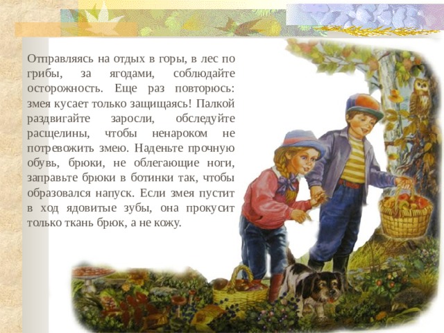 Отправляясь на отдых в горы, в лес по грибы, за ягодами, соблюдайте осторожность. Еще раз повторюсь: змея кусает только защищаясь! Палкой раздвигайте заросли, обследуйте расщелины, чтобы ненароком не потревожить змею. Наденьте прочную обувь, брюки, не облегающие ноги, заправьте брюки в ботинки так, чтобы образовался напуск. Если змея пустит в ход ядовитые зубы, она прокусит только ткань брюк, а не кожу. 