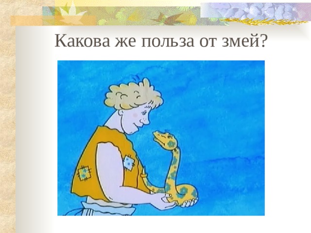 Какова же польза от змей? 