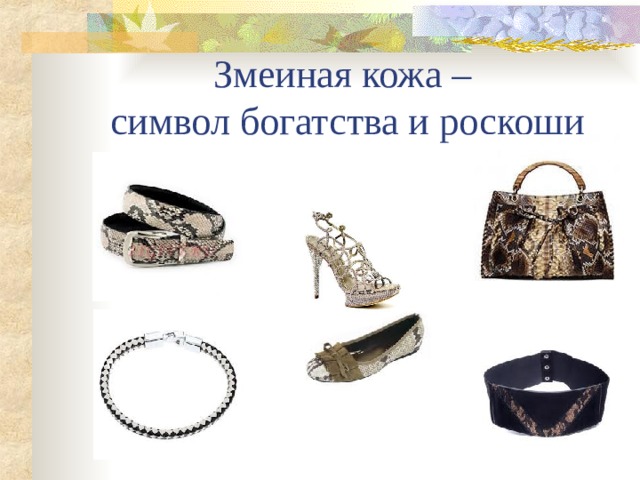 Змеиная кожа –  символ богатства и роскоши 