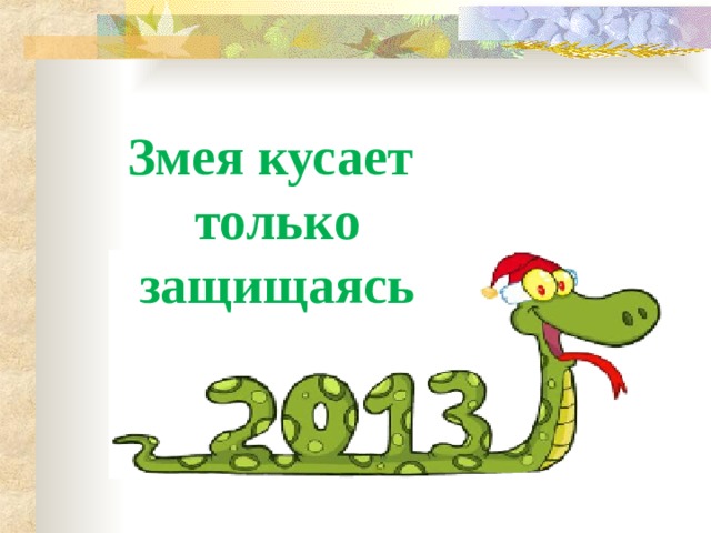 Змея кусает  только защищаясь 