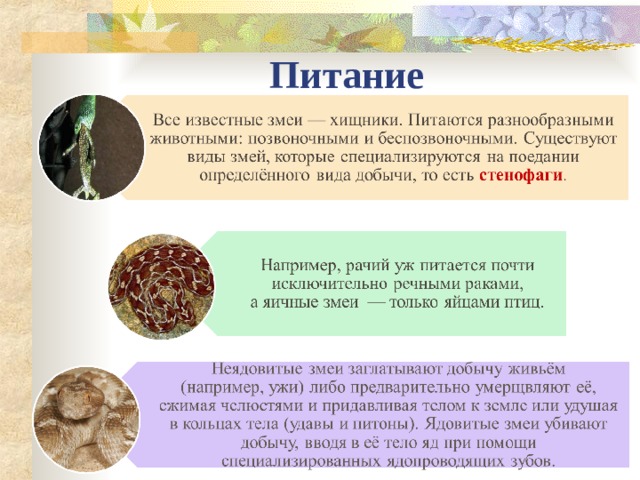 Питание  