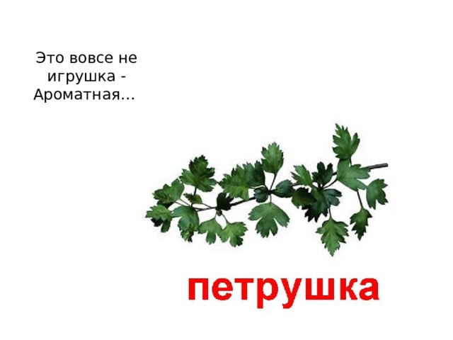 Это вовсе не игрушка -  Ароматная…   