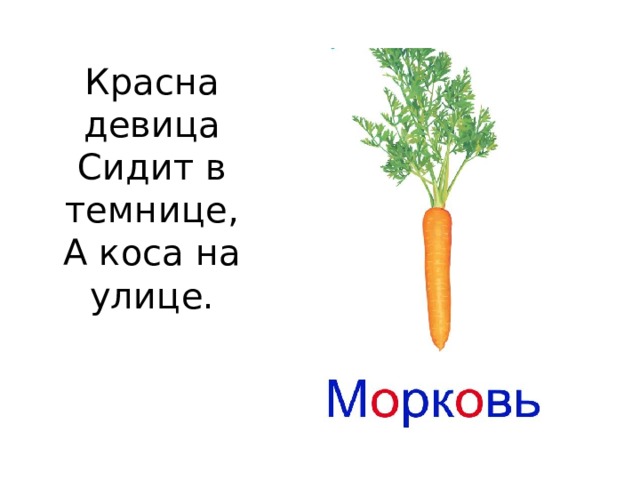 Красна девица  Сидит в темнице,  А коса на улице.   