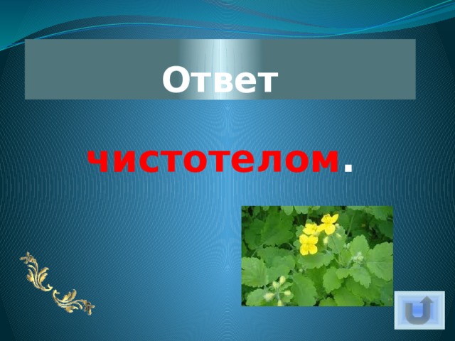 Ответ чистотелом . 