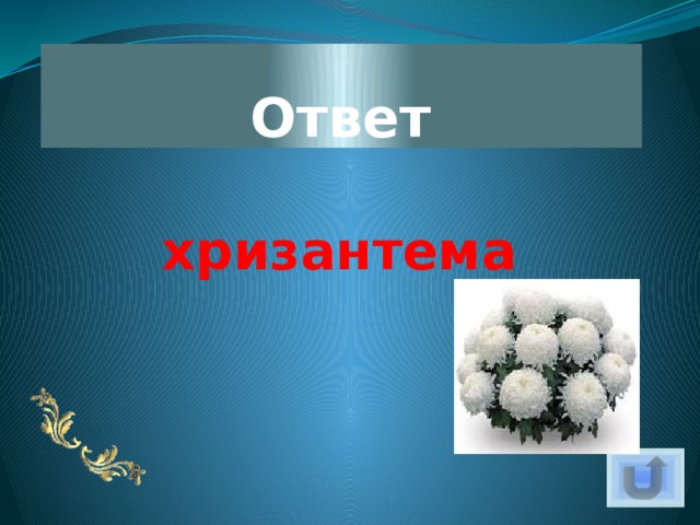 Ответ хризантема 