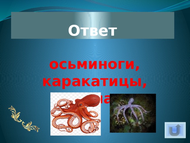 Ответ осьминоги, каракатицы, кальмары 