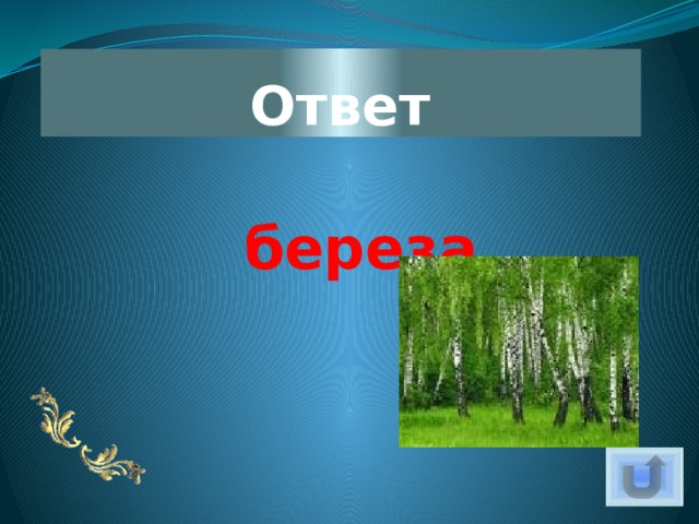 Ответ  береза. 