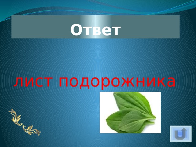 Ответ лист подорожника 