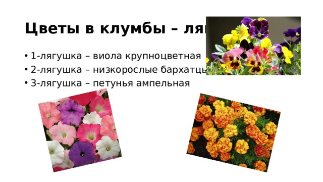 Цветы в клумбы – лягушки 1-лягушка – виола крупноцветная 2-лягушка – низкорослые бархатцы 3-лягушка – петунья ампельная 