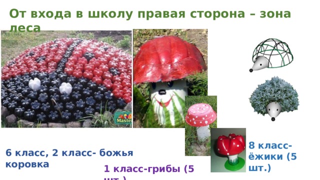 От входа в школу правая сторона – зона леса 8 класс-ёжики (5 шт.) 6 класс, 2 класс- божья коровка 1 класс-грибы (5 шт.) 