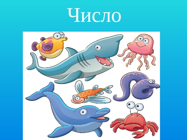 Число 