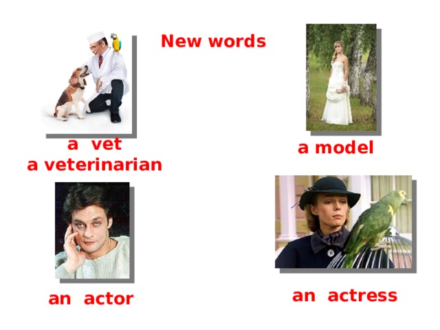 New words a vet a veterinarian a model an actress an actor 