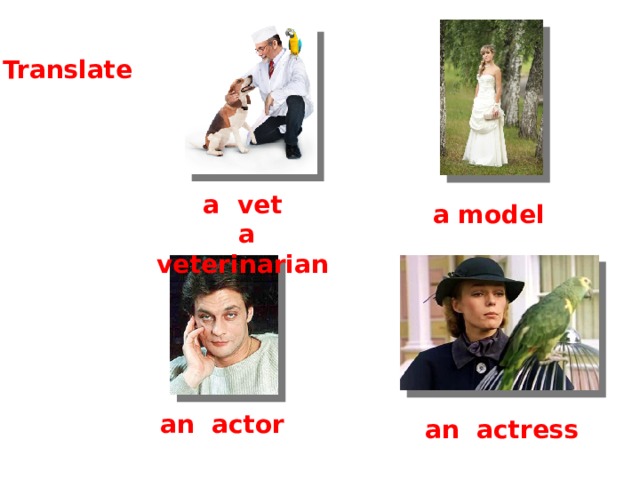 Translate a vet  a veterinarian a model an actor an actress 