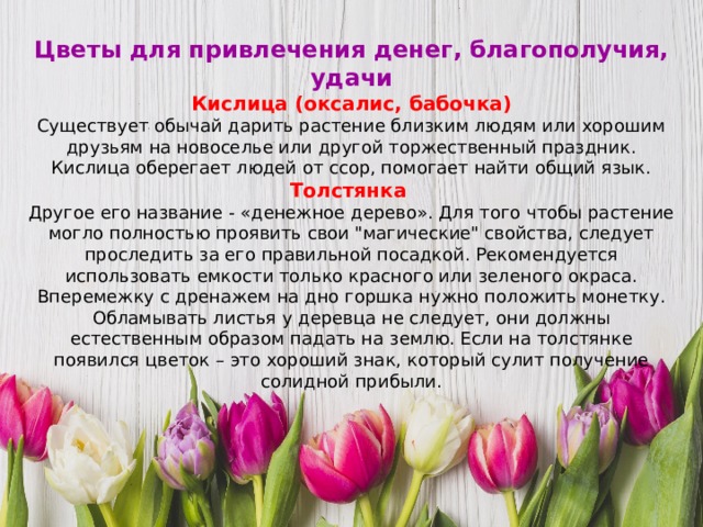 Цветы для привлечения денег, благополучия, удачи Кислица (оксалис, бабочка) Существует обычай дарить растение близким людям или хорошим друзьям на новоселье или другой торжественный праздник. Кислица оберегает людей от ссор, помогает найти общий язык. Толстянка Другое его название - «денежное дерево». Для того чтобы растение могло полностью проявить свои 