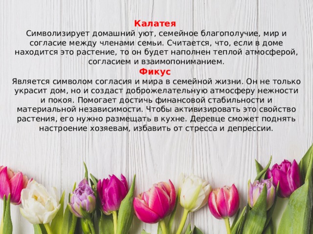 Калатея Символизирует домашний уют, семейное благополучие, мир и согласие между членами семьи. Считается, что, если в доме находится это растение, то он будет наполнен теплой атмосферой, согласием и взаимопониманием. Фикус Является символом согласия и мира в семейной жизни. Он не только украсит дом, но и создаст доброжелательную атмосферу нежности и покоя. Помогает достичь финансовой стабильности и материальной независимости. Чтобы активизировать это свойство растения, его нужно размещать в кухне. Деревце сможет поднять настроение хозяевам, избавить от стресса и депрессии. 