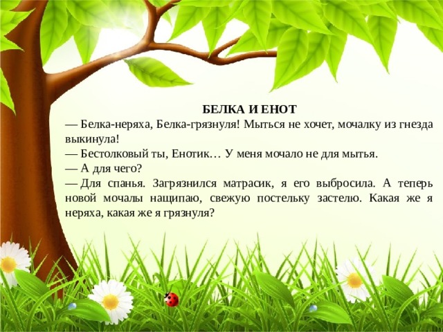 БЕЛКА И ЕНОТ —  Белка-неряха, Белка-грязнуля! Мыться не хочет, мочалку из гнезда выкинула! —  Бестолковый ты, Енотик… У меня мочало не для мытья. —  А для чего? —  Для спанья. Загрязнился матрасик, я его выбросила. А теперь новой мочалы нащипаю, свежую постельку застелю. Какая же я неряха, какая же я грязнуля? 