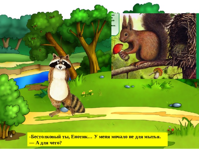-Бестолковый ты, Енотик… У меня мочало не для мытья. —  А для чего? 