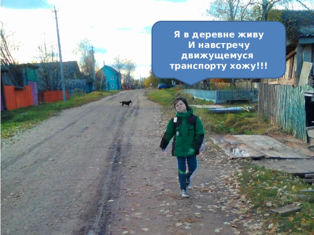 Я в деревне живу И навстречу движущемуся транспорту хожу!!! 