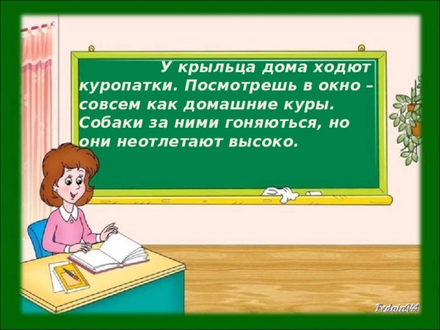  У крыльца дома ходют куропатки. Посмотрешь в окно – совсем как домашние куры. Собаки за ними гоняються, но они неотлетают высоко. 