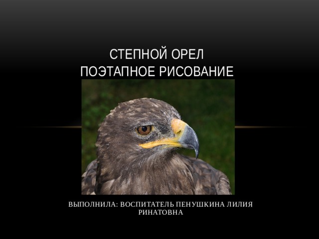 СТЕПНОЙ ОРЕЛ  ПОЭТАПНОЕ РИСОВАНИЕ ВЫПОЛНИЛА: ВОСПИТАТЕЛЬ ПЕНУШКИНА ЛИЛИЯ РИНАТОВНА 