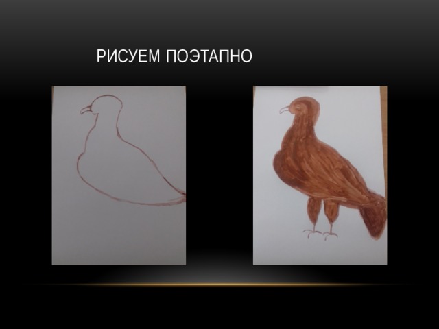 РИСУЕМ ПОЭТАПНО 