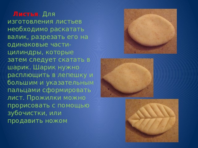  Листья . Для изготовления листьев необходимо раскатать валик, разрезать его на одинаковые части-цилиндры, которые затем следует скатать в шарик. Шарик нужно расплющить в лепешку и большим и указательным пальцами сформировать лист. Прожилки можно прорисовать с помощью зубочистки, или продавить ножом 