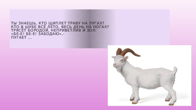    Ты знаешь, кто щиплет траву на лугах?  Кто в шубе всё лето, весь день на ногах?  Трясёт бородой, неприветлив и зол:  «Бе-е! Бе-е! забодаю»,-  пугает …     