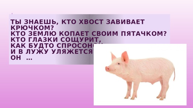 Ты знаешь, кто хвост завивает крючком?  Кто землю копает своим пятачком?  Кто глазки сощурит,  как будто спросонок,  и в лужу уляжется?  Он … 