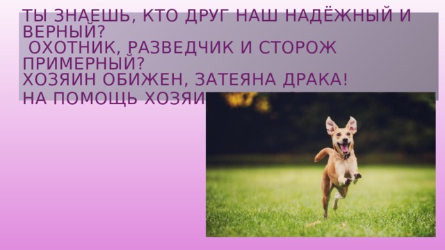 Ты знаешь, кто друг наш надёжный и верный?  охотник, разведчик и сторож примерный?  Хозяин обижен, затеяна драка!  На помощь хозяину мчится … 