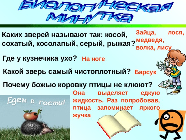 Зайца, лося, медведя, волка, лису Каких зверей называют так: косой, сохатый, косолапый, серый, рыжая? Где у кузнечика ухо? На ноге Какой зверь самый чистоплотный? Барсук  Почему божью коровку птицы не клюют? Она выделяет едкую жидкость. Раз попробовав, птица запоминает яркого жучка 