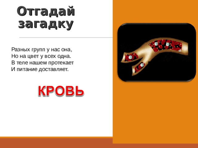 Отгадай загадку Разных групп у нас она, Но на цвет у всех одна. В теле нашем протекает И питание доставляет. 