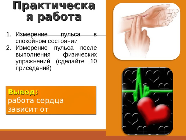 Практическая работа Измерение пульса в спокойном состоянии Измерение пульса после выполнения физических упражнений (сделайте 10 приседаний) Вывод: работа сердца зависит от физической нагрузки. 