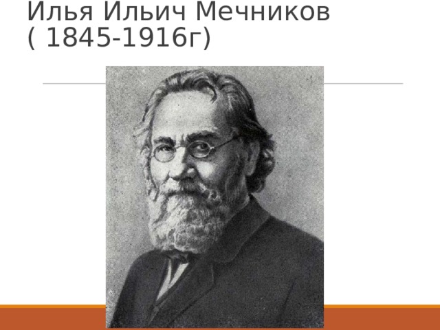 Илья Ильич Мечников ( 1845-1916г) 