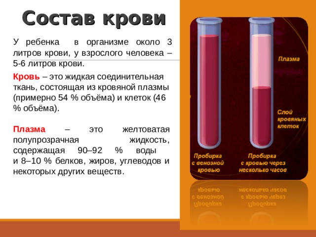 Состав крови У ребенка в организме около 3 литров крови, у взрослого человека – 5-6 литров крови. Кровь  – это жидкая соединительная ткань, состоящая из кровяной плазмы (примерно 54 % объёма) и клеток (46 % объёма). Плазма – это желтоватая полупрозрачная жидкость, содержащая 90–92 % воды  и 8–10 % белков, жиров, углеводов и некоторых других веществ. 