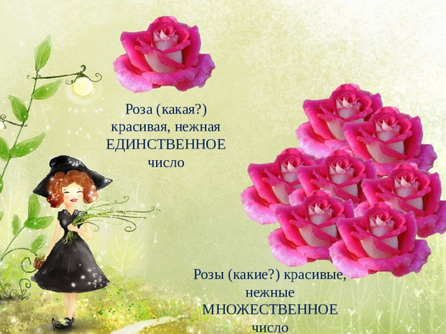 Роза (какая?) красивая, нежная ЕДИНСТВЕННОЕ число Розы (какие?) красивые, нежные МНОЖЕСТВЕННОЕ число 
